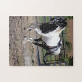 Pinto Paint Horse Legpuzzel (Horizontaal)
