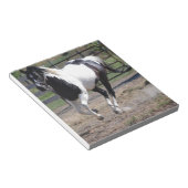 Pinto Paint Horse Notitieblok (Schuin)
