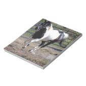 Pinto Paint Horse Notitieblok (Linkerzijde)