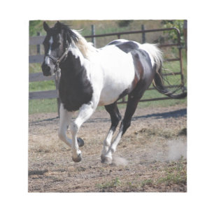 Pinto Paint Horse Notitieblok