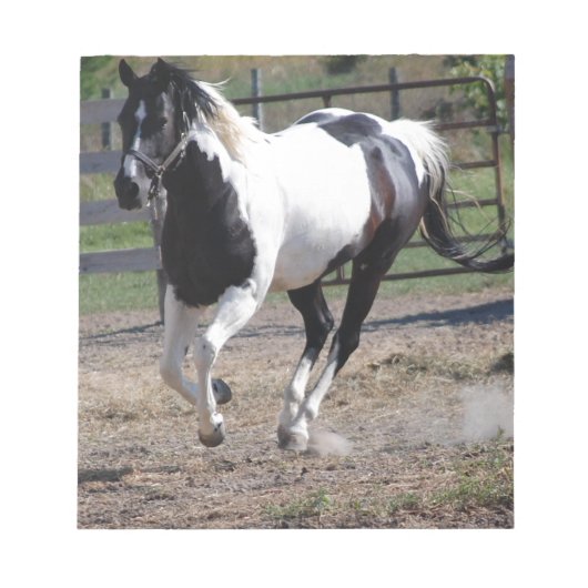 Pinto Paint Horse Notitieblok (Voorkant)