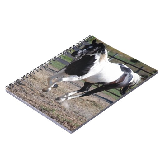 Pinto Paint Horse Notitieboek (Linkerzijde)