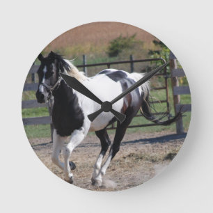 Pinto Paint Horse Ronde Klok