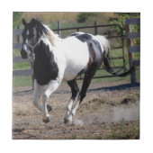 Pinto Paint Horse Tegeltje (Voorkant)
