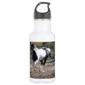 Pinto Paint Horse Waterfles (Voorkant)