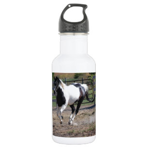 Pinto Paint Horse Waterfles