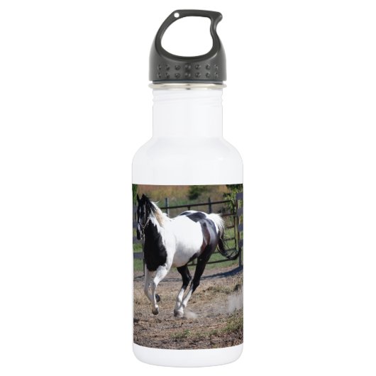 Pinto Paint Horse Waterfles (Voorkant)