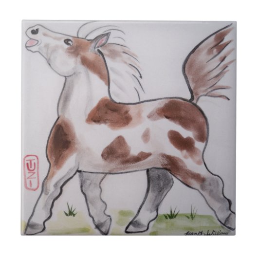 Pinto Paint Pony Brown White Horse Animal Art Tegeltje (Voorkant)