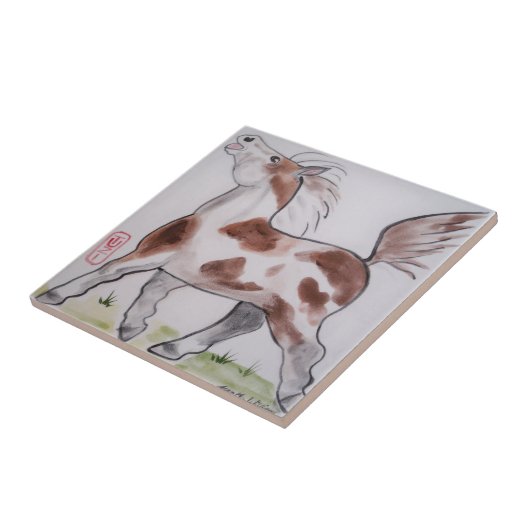 Pinto Paint Pony Brown White Horse Animal Art Tegeltje (Zijkant)