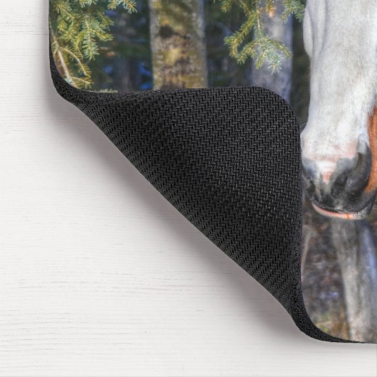 Pinto Paint Stallion & Evergreen Trees Muismat (Hoek)