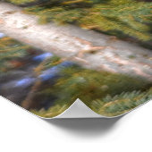 Pinto Paint Stallion & Evergreen Trees Poster (Hoek)