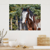 Pinto Paint Stallion & Evergreen Trees Poster (Keuken)