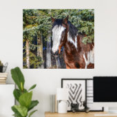 Pinto Paint Stallion & Evergreen Trees Poster (Thuiskantoor)