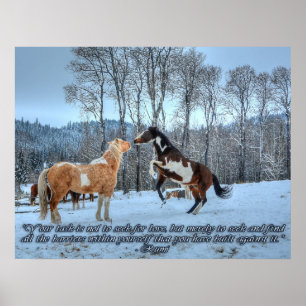Pinto Paint Stallions, Snow & Rumi Quote Poster