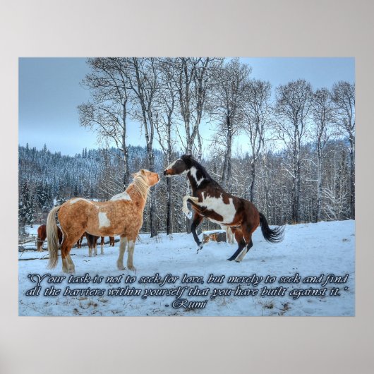 Pinto Paint Stallions, Snow & Rumi Quote Poster (Voorkant)