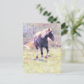 Pinto Pony Briefkaart (Staand voorkant)