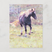 Pinto Pony Briefkaart (Voorkant)