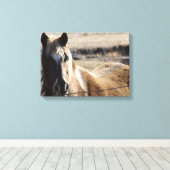 Pinto-Pony Canvas Afdruk (Insitu (Houten vloer))