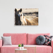 Pinto-Pony Canvas Afdruk (Insitu (Woonkamer))