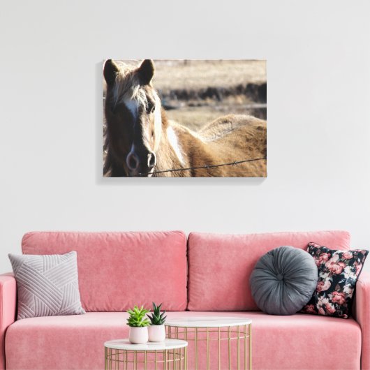 Pinto-Pony Canvas Afdruk (Insitu (Woonkamer))
