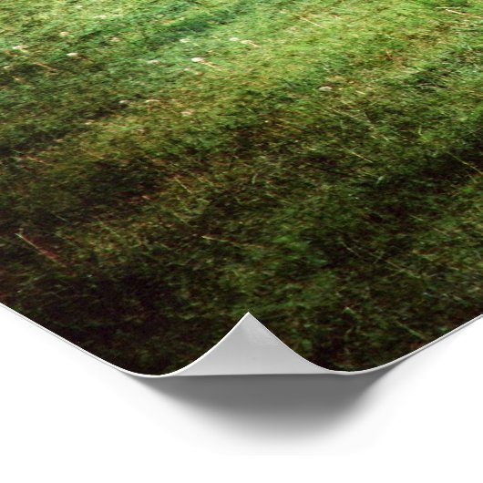 Pinto Pony in pasta Poster (Hoek)