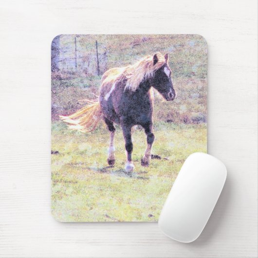 Pinto-Pony Muismat (Met muis)