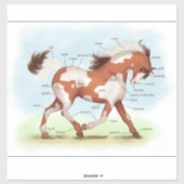 Pinto Pony Paard Educatieve Equine Anatomie Grafie Sticker (Vel)