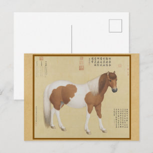 Pinto Pony Portret - Vintage Chinese Fijne Kunst Briefkaart