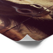 Pinto-Pony Poster (Hoek)