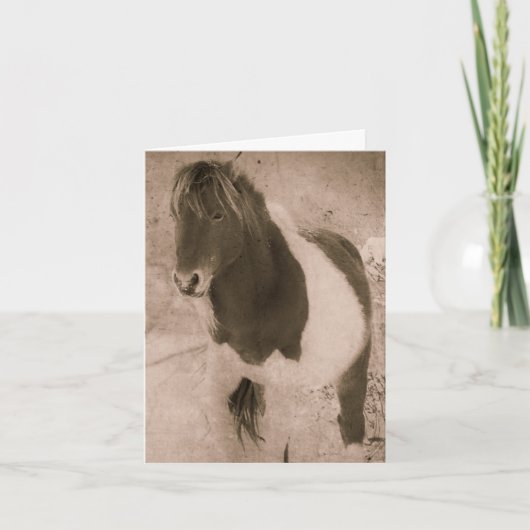 Pinto Pony Sepia Grunge, bedankt Feestdagen Kaart (Voorkant)