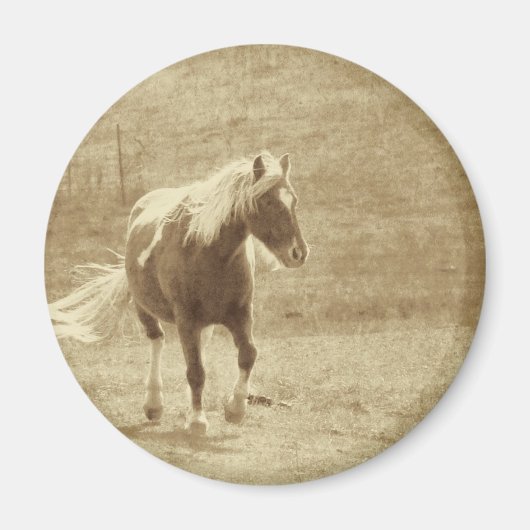 Pinto Pony Sepia Magneet (Voorkant)
