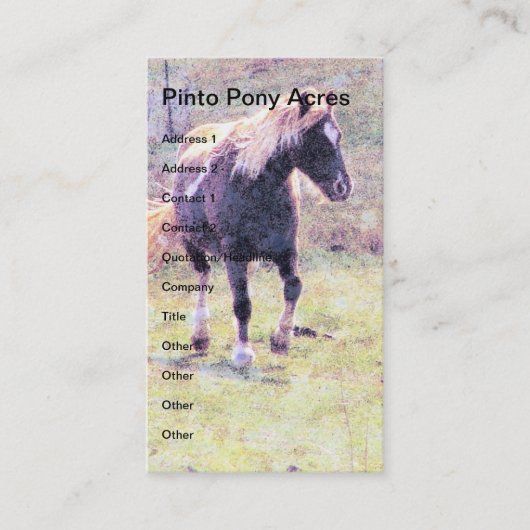 Pinto-Pony Visitekaartje (Voorkant)