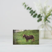 Pinto-Pony Visitekaartje (Staand voorkant)