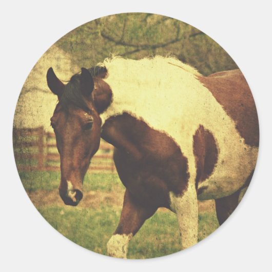 Pinto Ronde Sticker (Voorkant)