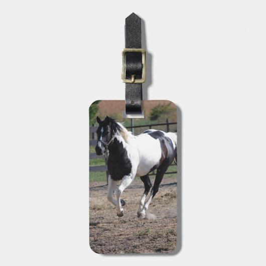 Pinto Schilder Paard Bagagelabel (Voorkant verticaal)