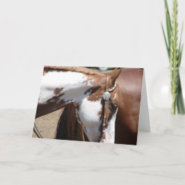 Pinto Western paard Kaart