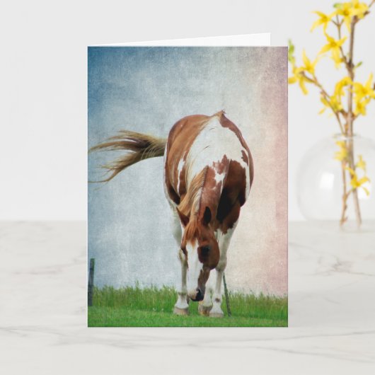 Pintopferd, Alles Gute Zum Geburtstag Kaart (Gele Bloem)