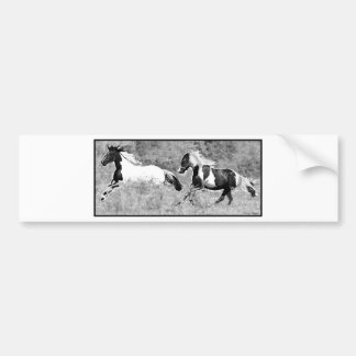 Pintos Galloping, Bumpersticker