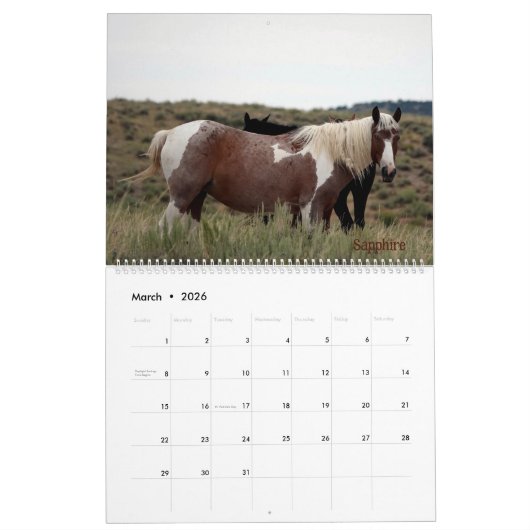 Pintos van Zandwastafelkalender Kalender (Mar 2026)