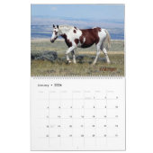 Pintos van Zandwastafelkalender Kalender (Jan 2026)