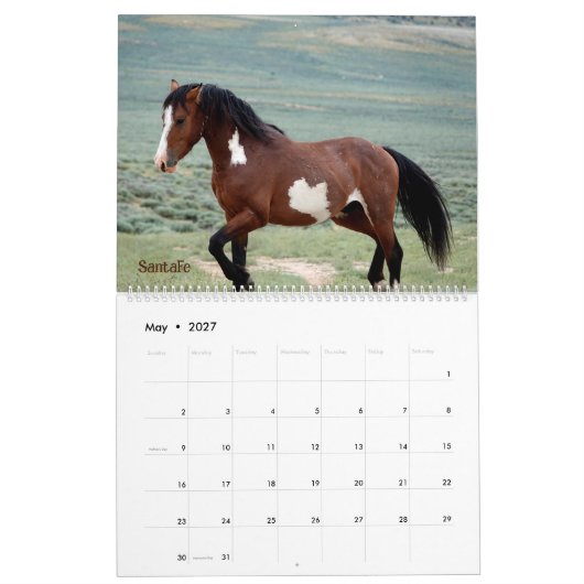 Pintos van Zandwastafelkalender Kalender (Mei 2027)