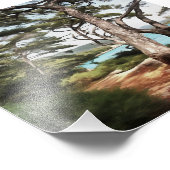 Pinus pinea Pine Tree Forest Painting Foto Afdruk (Hoek)