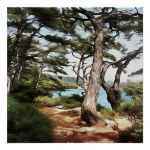 Pinus pinea Pine Tree Forest Painting Perfect Poster