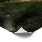 Pinus pinea Pine Tree Forest Painting Perfect Poster (Hoek)