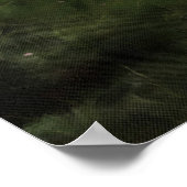 Pinus pinea Pine Tree Forest Painting Poster (Hoek)