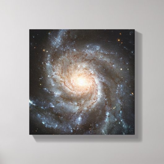 Pinwheels Hubble Telescope Buitenspatie Foto Canvas Afdruk (Voorkant)