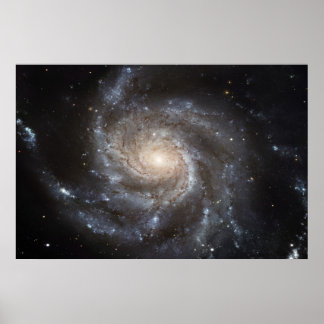 Pinwheels M101 78x52 (57x38) Poster