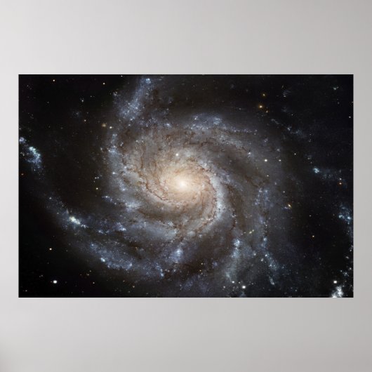 Pinwheels M101 78x52 (57x38) Poster (Voorkant)