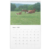 Pinzgauer 2013 Cattle Calendar-personalize Kalender (Mar 2027)