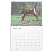 Pinzgauer 2013 Cattle Calendar-personalize Kalender (Jan 2027)